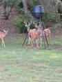 700 Lost Hunters - Photo 6