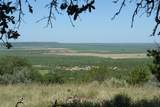 TBD County Road 146 - Photo 1