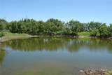 TBD County Road 146 - Photo 6