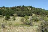 TBD County Road 146 - Photo 7