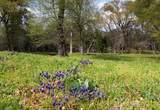 4683 Fm Rd 1396 - Photo 9