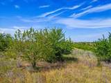 11830 Old Weatherford Road - Photo 14