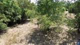 32028 Dove Trail - Photo 3