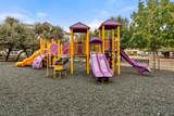 12700 Ridgeline Boulevard - Photo 11