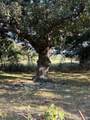 3500 County Road 3230 - Photo 16