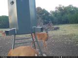 201 Private Road 2123 - Photo 15