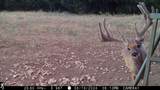 201 Private Road 2123 - Photo 17