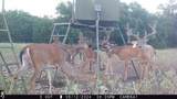 201 Private Road 2123 - Photo 5