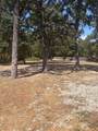 6885 County Road 3512 Road - Photo 1