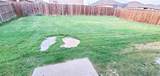 323 Vernon Street - Photo 15
