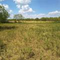 3601 Bluhm Road - Photo 5