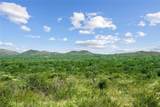 Nueces River Ranch Hwy 55 - Photo 30