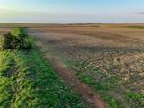 125 County Road 272 - Photo 10