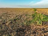 125 County Road 272 - Photo 15