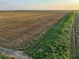 125 County Road 272 - Photo 23