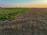 125 County Road 272 - Photo 25