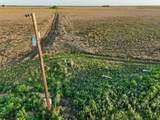 125 County Road 272 - Photo 7