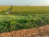 125 County Road 272 - Photo 9