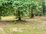 00001 Cr 1527 - Photo 17