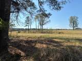 W-1 West Cliff Keen Road - Photo 6