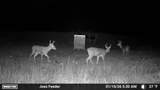 000 Fm 196 - Photo 11