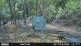 000 Fm 196 - Photo 12