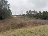 3604 Hidden Oak Drive - Photo 3