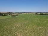 96 acres Hwy 380 - Photo 9