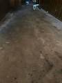 4631 2nd Street - Photo 3
