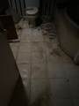 4631 2nd Street - Photo 9