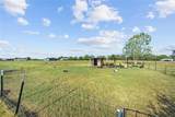 8379 Alice Circle - Photo 29