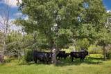 574 County Road 134 - Photo 18