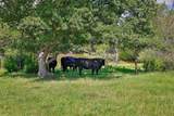574 County Road 134 - Photo 19