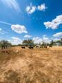 6049 County Road 1030 B - Photo 10