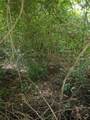0 County Road 3419 - Photo 2