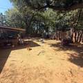 807 Mack Drive - Photo 33