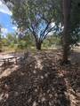 137 Bowie Street - Photo 16