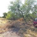 1774 Bosley Road - Photo 20