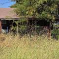 1774 Bosley Road - Photo 26