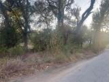 919 Morgan Street - Photo 13