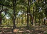 1213 Caballo - Photo 17