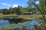 12181 Spring Street - Photo 11
