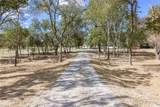 1123 Paradise Parkway - Photo 8