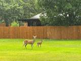 174 Charlya Drive - Photo 8