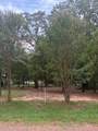 000 Jim Bowie Lane - Photo 2