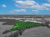 29993 State Highway 64 - Photo 12