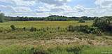 627 U S Hwy 287 - Photo 4