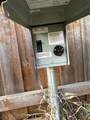 1309 London Drive - Photo 6