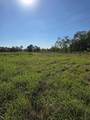 5297 Highway 175 - Photo 2