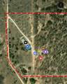 17978 County Road 445 - Photo 38